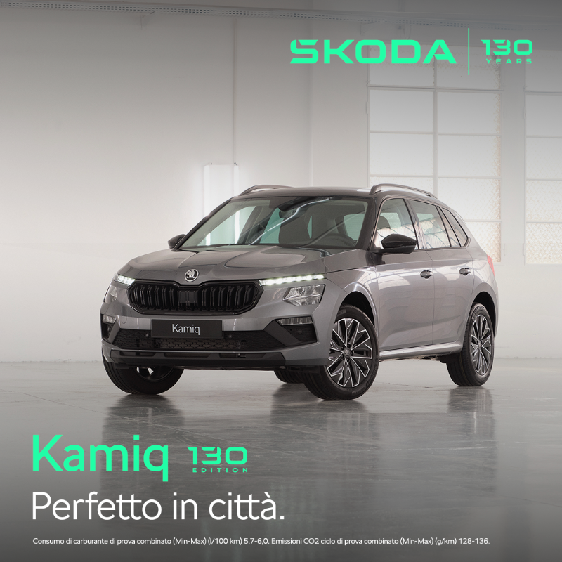SKODA Summer Days/kamiq.png