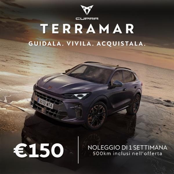 CUPRA TERRAMAR | NBT